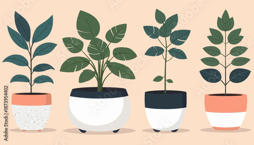 vector of plant on the pot