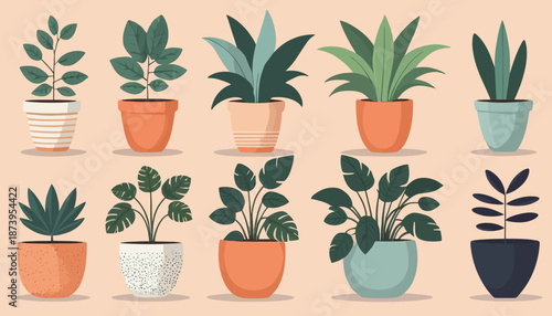 vector of plant on the pot