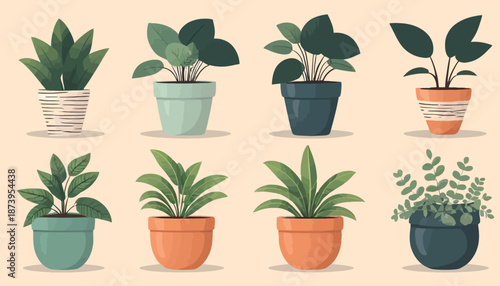 vector of plant on the pot