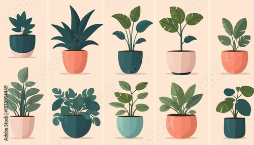 vector of plant on the pot