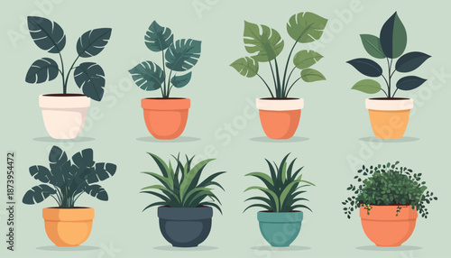 vector of plant on the pot