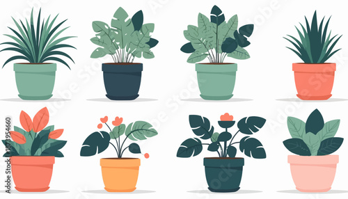 vector of plant on the pot