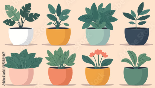 vector of plant on the pot