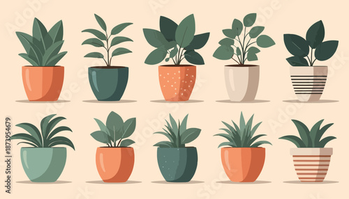 vector of plant on the pot