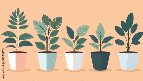 vector of plant on the pot