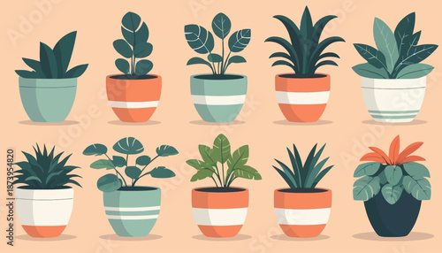 vector of plant on the pot