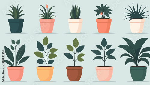 vector of plant on the pot