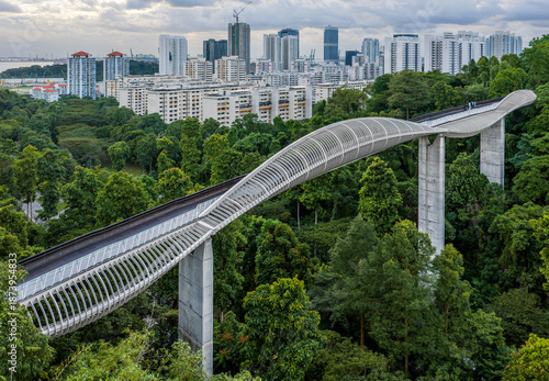 Aerial view of Henderson Waves Bridge gracefully arches amidst lush greenery, contrasting against the modern cityscape skyline, Henderson, Henderson Road, Singapore.