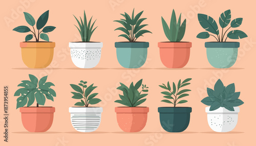 vector of plant on the pot