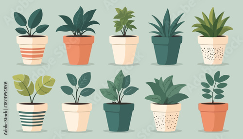 vector of plant on the pot