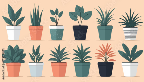 vector of plant on the pot