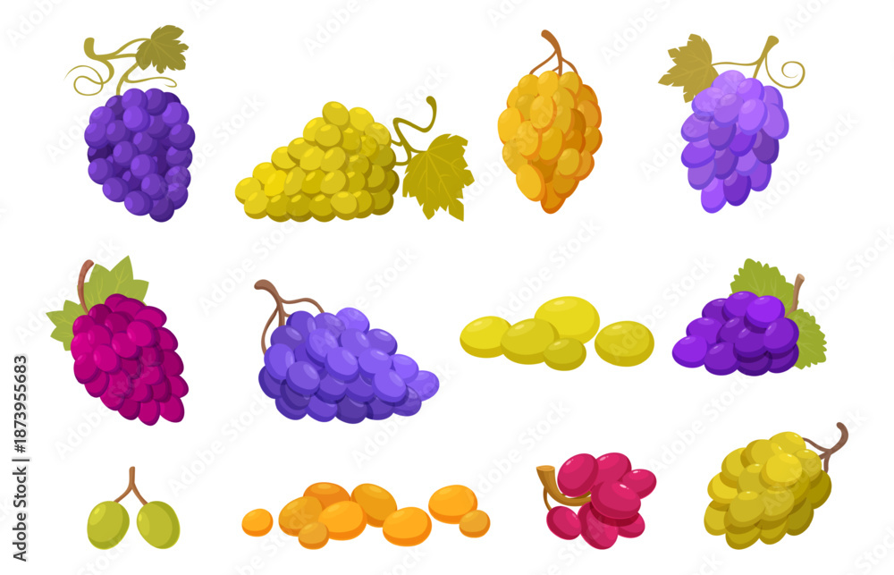 Fototapeta premium Cartoon grape bunches. Grapes with leaves, vineyard ripe berries red purple green. Natural sweet fresh fruits, dessert and wine production, sapid vector set