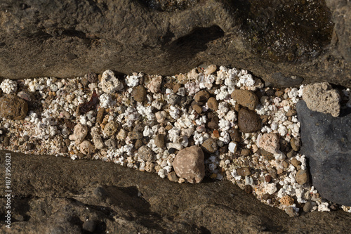 Gran Canaria, El Confital beach on the edge of Las Palmas de Gran Canaria, mixture of small pebbles, shells and coral-looking Rhodolith algae

