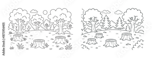Black and white forest scene with tree stumps and variety of trees