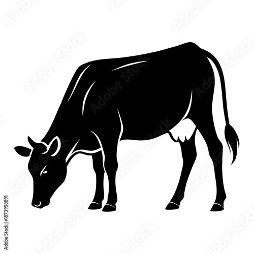 Ranch Livestock Bull in Confident Standing Pose