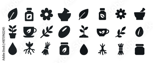Variety of herbal and botanical icons for natural products