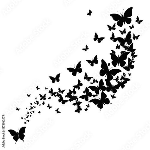 Unique artistic butterfly silhouette design variation number 20 with decorative wings