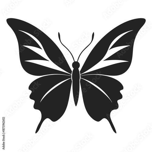 Unique artistic butterfly silhouette design variation number 9 with decorative wings
