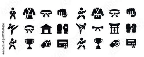 Martial arts icons set: karate, belt, trophy, certificate, glove illustrations