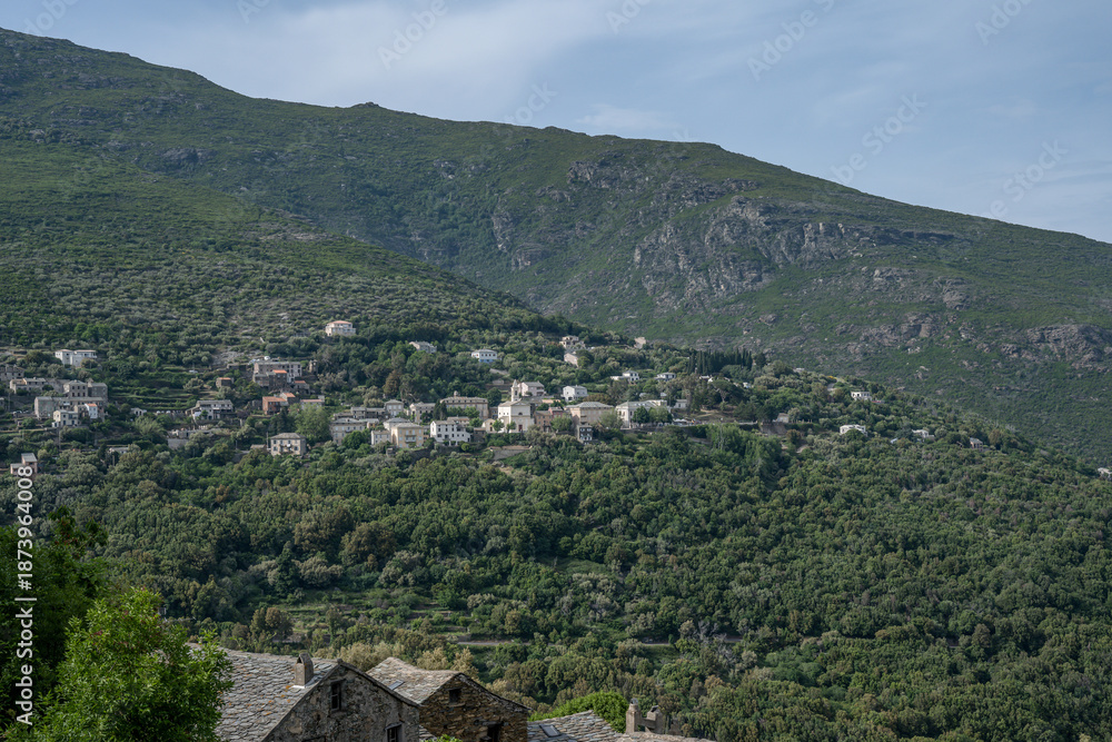 Fototapeta premium panoramic view village mountainous landscape towards the Gulf of Porto in sunlight with blue skies and spectacular cloud