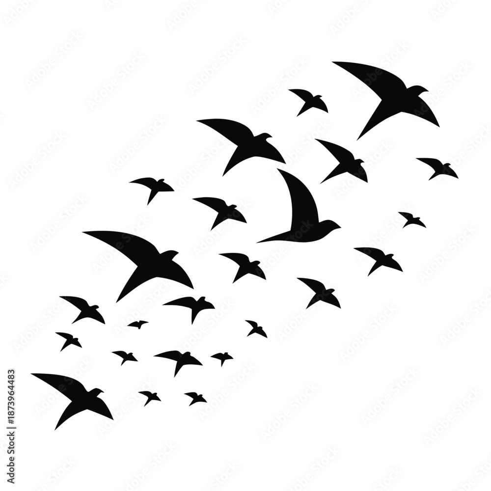 Obraz premium Open Wing Bird Taking Off from Surface