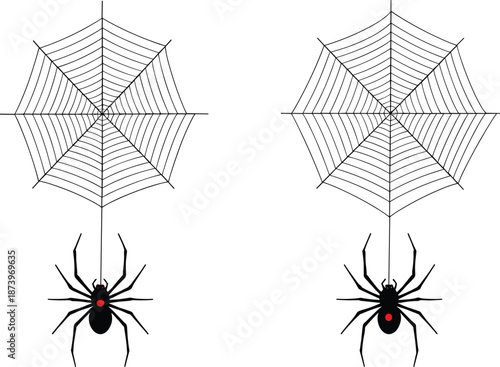 Black widow spider hanging from a symmetrical cobweb vector set with red spot detail for Halloween decoration spooky nature and arachnid fear concepts