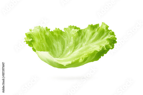 Wallpaper Mural Crisp Leaf Lettuce Head with transparent background for culinary use. Torontodigital.ca