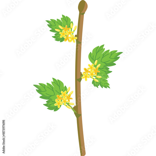 Spring branch with green leaves and yellow flowers