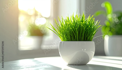 Close-up of healthy cat grass, featuring vibrant green blades with a crisp texture.