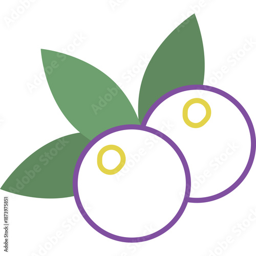 Stylized Blueberries with Leaves