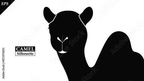 Black silhouette of camel isolated on white background, Beautiful camel vector design, standing camels, camels silhouette vector illustration, camel vector. Black Camel Silhouette vector illustration