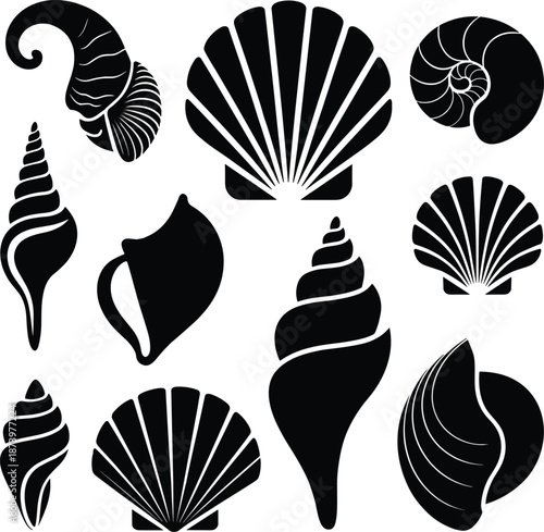 Sea shell silhouettes set, assorted marine seashell icons, black vector illustration of ocean beach elements isolated on white background design