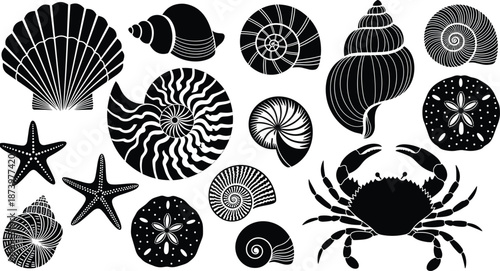 Sea shell silhouettes, marine life collection, starfish crab shells, ocean nature elements, black vector illustration isolated white background design set