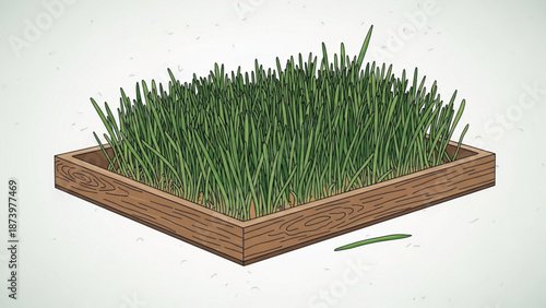 Illustration of chives growing in a wooden planter box with a single chive blade on a white background with herbs and gardening and cooking and green