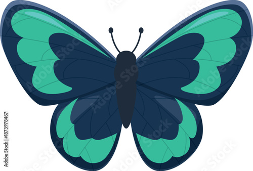 Colorful butterfly with open wings, displaying intricate patterns and vibrant hues