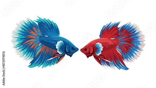 Colorful betta fish pair facing each other on white background