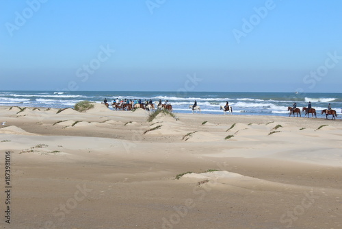 Foto Horseback Riding on the Beach at South Padre Island, Texas