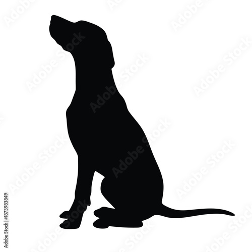 A vector illustration of slhouette image of a dog positioned in the bottom left