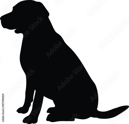A detailed a vector graphic of dog 
