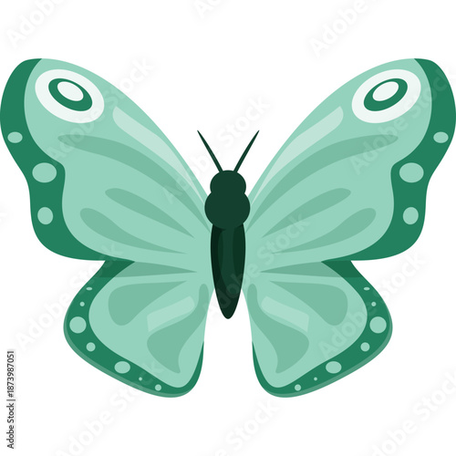 Teal Butterfly Illustration