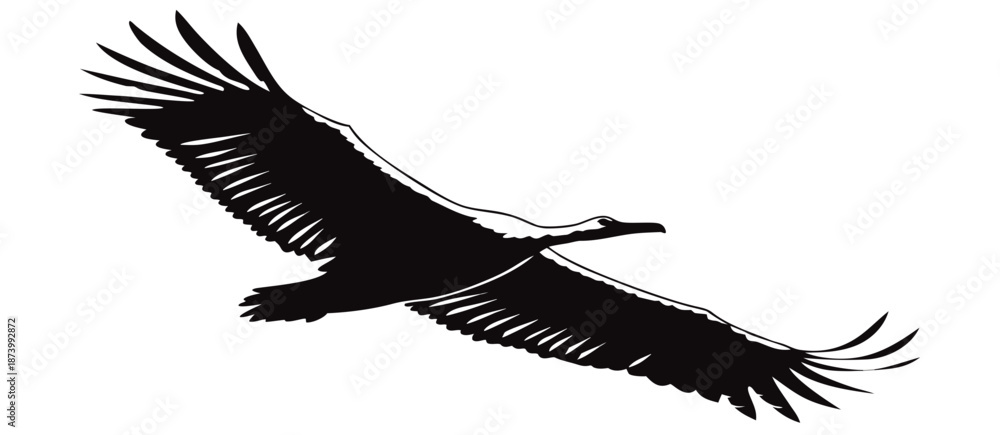 Obraz premium Bird silhouette flying bird vulture wings spread vector art black and white isolated bird silhouette flying bird vulture wings