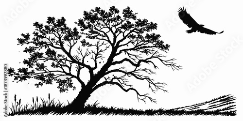 Silhouette tree bird landscape nature branch grass field countryside wild forest meadow horizon sky freedom flight rural
