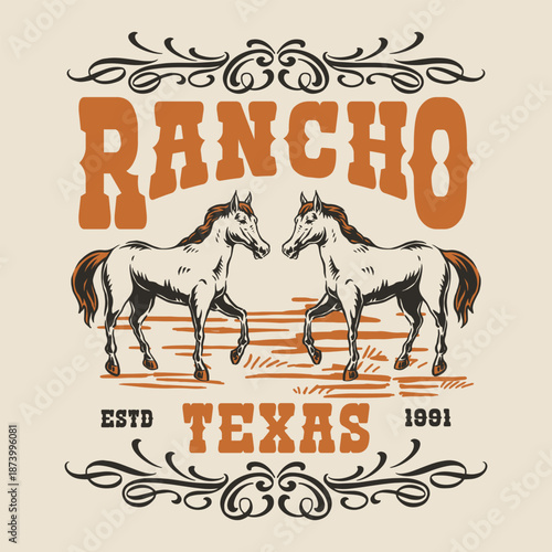 Horses at a texas ranch