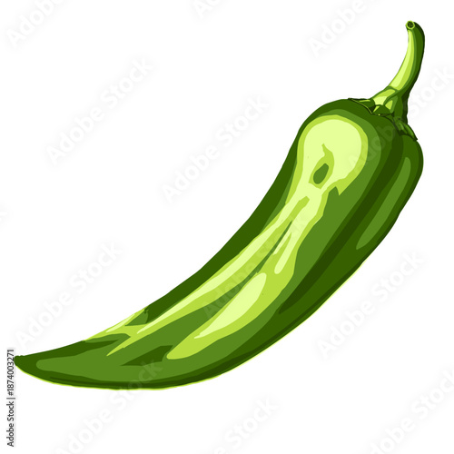 Spicy Green Jalapeno Pepper Vector Illustration