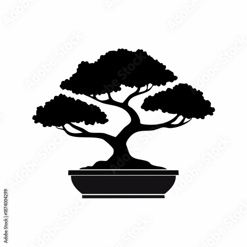 Silhouette of a bonsai tree in a decorative pot on a white background
