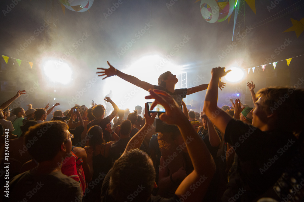 Wall Mural people at concert