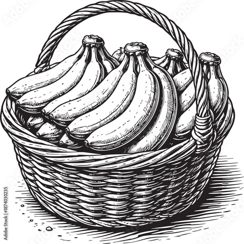 Banana basket linocut etching illustration tropical fruit harvest wicker basket black and white engraving artwork for packaging labels