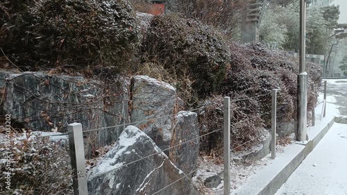 winter and korea