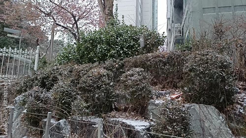 winter and korea