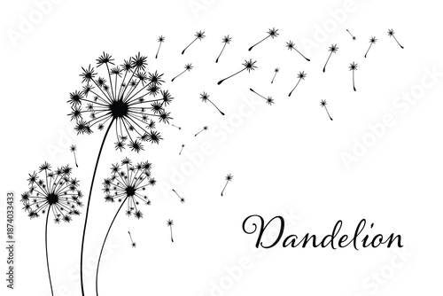 Vector illustration of dandelion time. White Beautiful realistic Dandelion seeds blowing in the wind. The wind inflates a dandelion isolated in editable blue sky background.